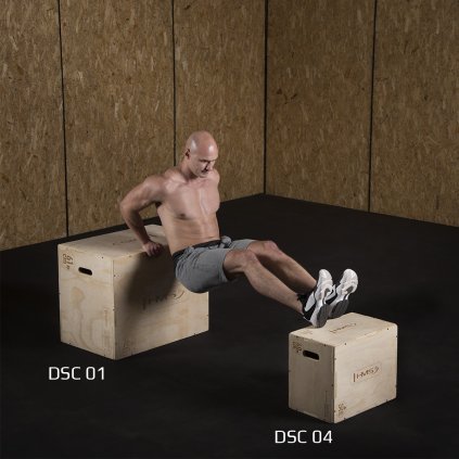 DSC04 PLYO BOX HMS
