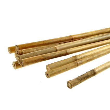 Bamboo Tyč malá průměr 1 - 1,5 cm, délka 70 cm  Bamboo