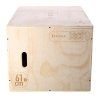 DSC01 PLYO BOX HMS
