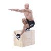 DSC01 PLYO BOX HMS