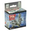 Žárovka LED CSP chip SILVER 12V H4 2ks  Compass